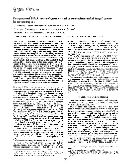 PDF-ProcNatlAcadSciUSAVol92pp791795January1995GeneticsProgramedDNArearran