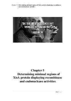 Determining minimal regions of XisA protein displaying recombinase