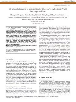 StructuralelementstoconvertEscherichiacolixylosidaseYicIMasayukiOkuya