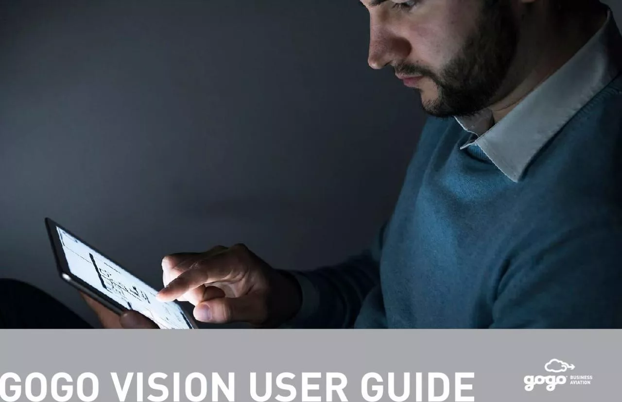 PDF-GOGO VISION USER GUIDE