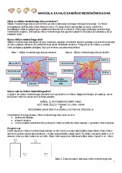 NAVODILA ZA VAJE ZA MIICE MEDENINEGA DNA