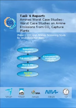 Amines Worst Case Studies