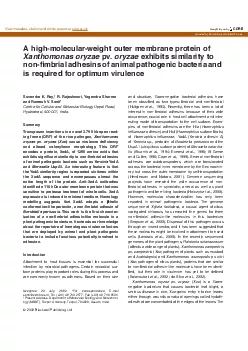 3 637647Blackwell Science LtdOxford UKMMIMolecular Microbiology095038