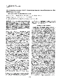 PDF-ProcNatiAcadSciUSAVol88pp97559759November1991GeneticsDNAbindingprote