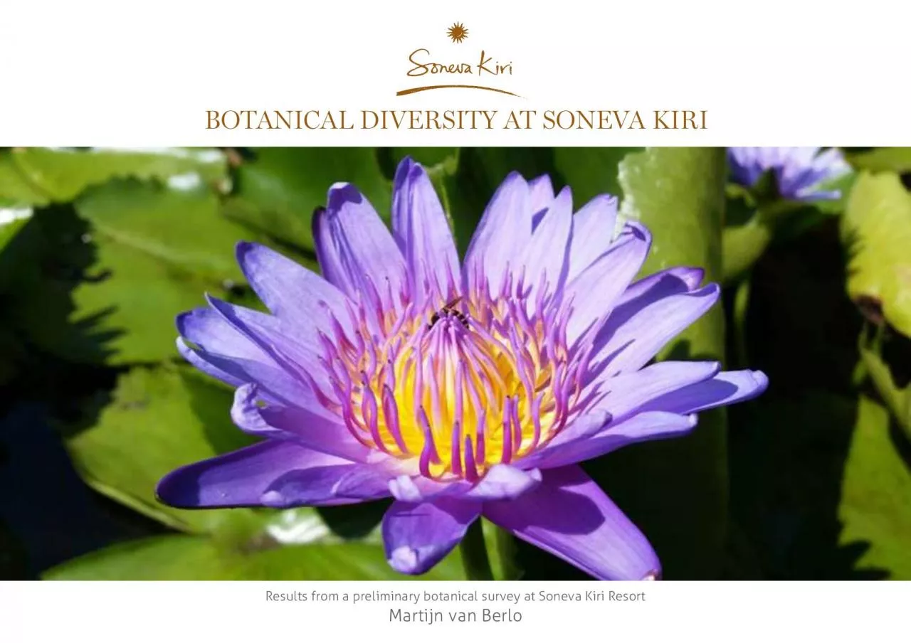 PDF-TVResults from a preliminary botanical survey at Soneva Kiri Resort