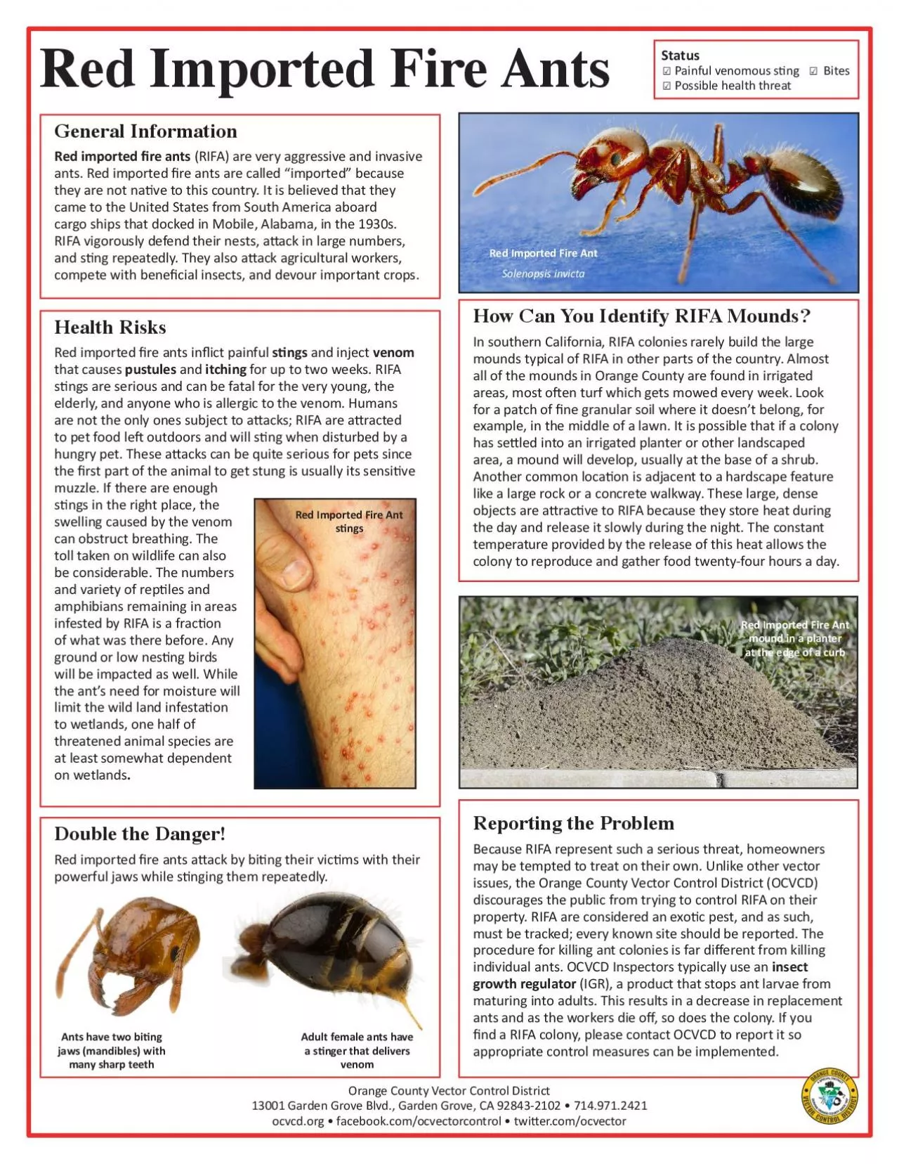 PDF-Red Imported Fire Ants