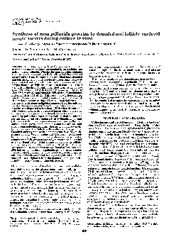 ProcNatIAcadSciUSAVol77No2pp10291033February1980CellBiologySynthesiso