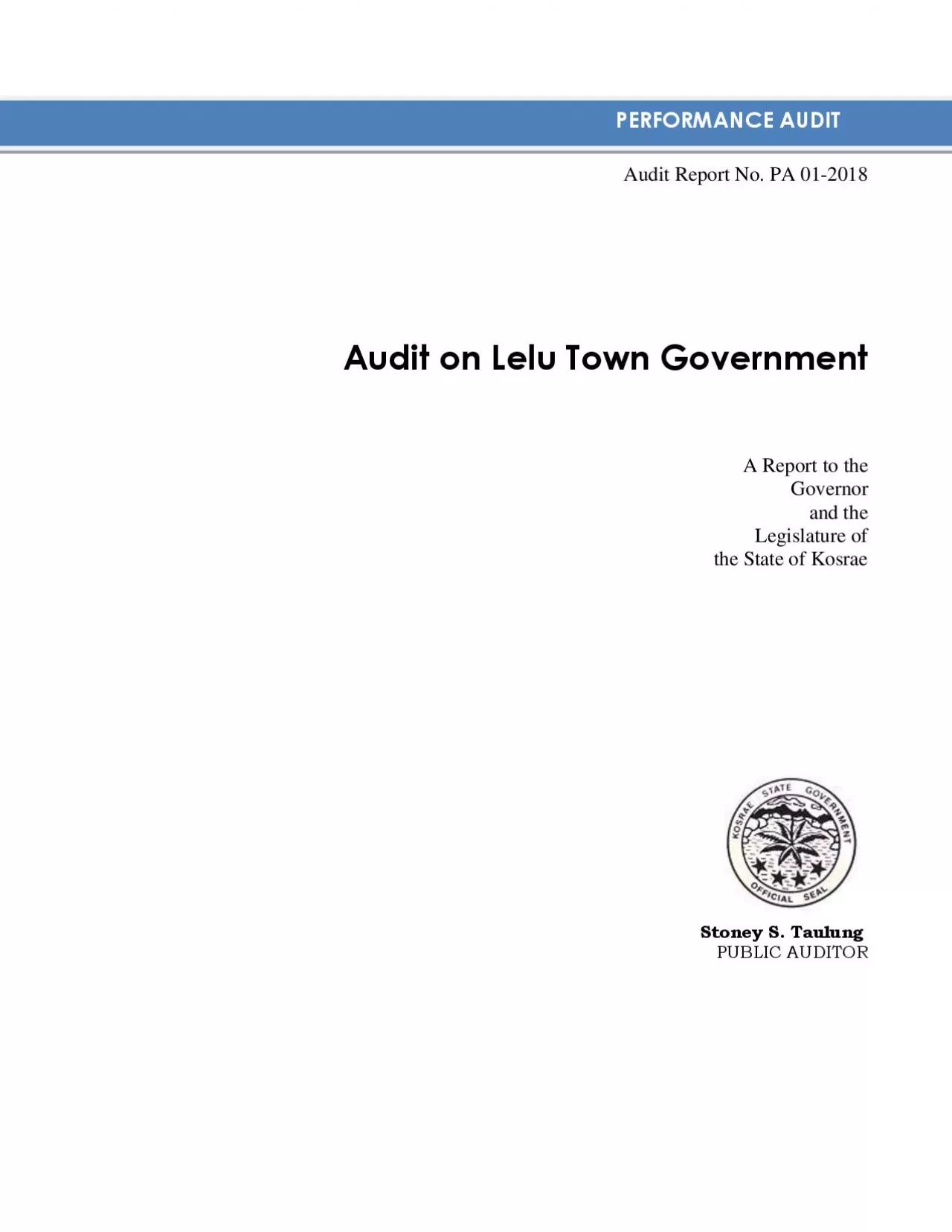 PDF-PERFORMANCE AUDIT