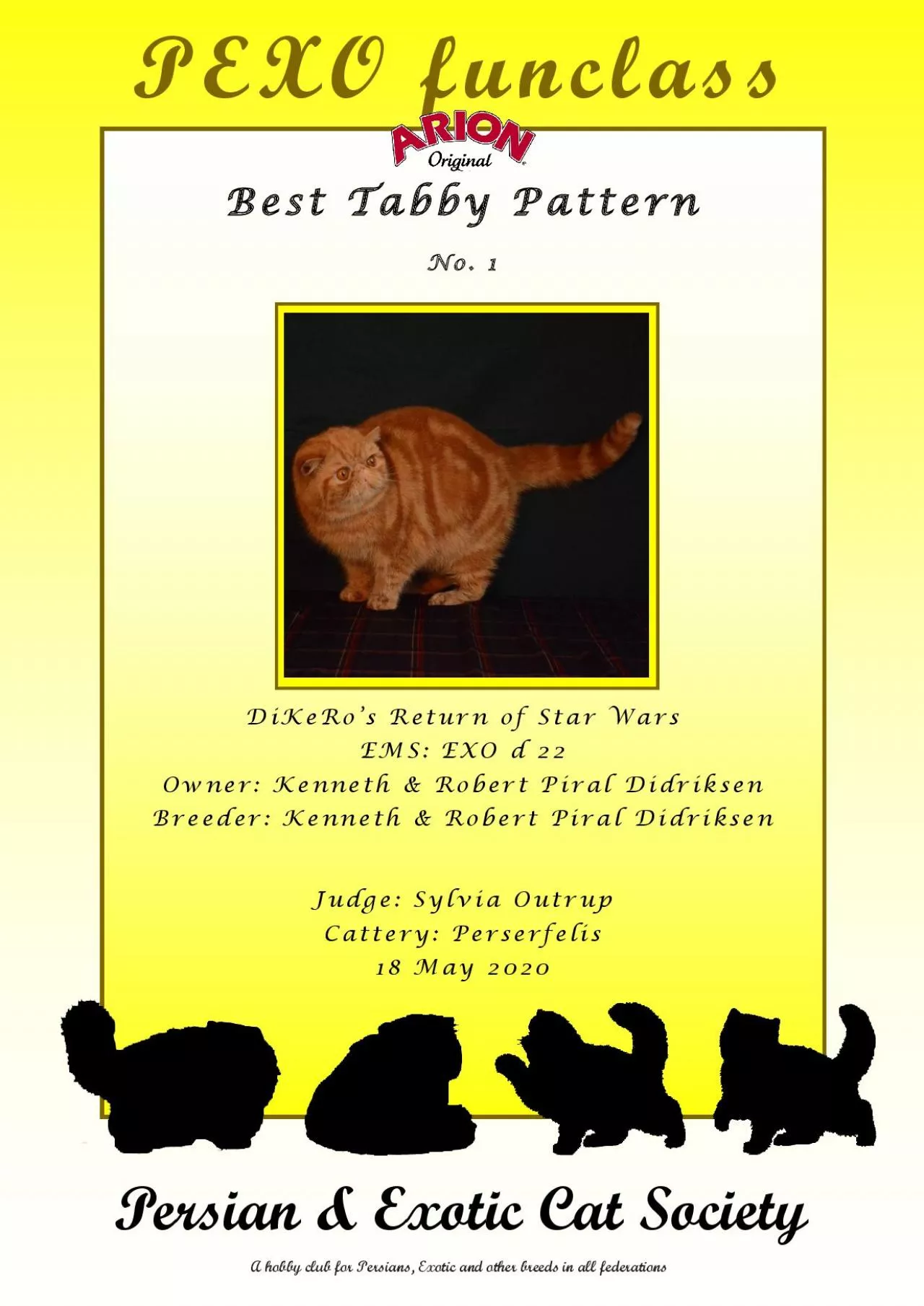 PDF-Best Tabby Pattern