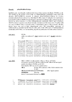 pHsp70ARbcS2cEpoSynthetic gene encoding the erythropoietin from Hom