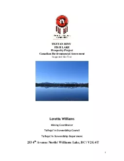 PDF-1 TEZTAN BINYFISH LAKE Prosperity