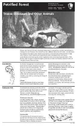 layers of the Chinle Formation are fossilsof many types of invertebrat