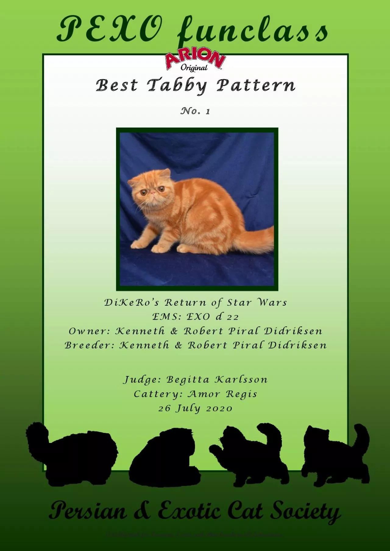 PDF-Best Tabby Pattern