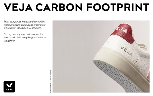Most companies measure their carbon For us the only way that seemed fa