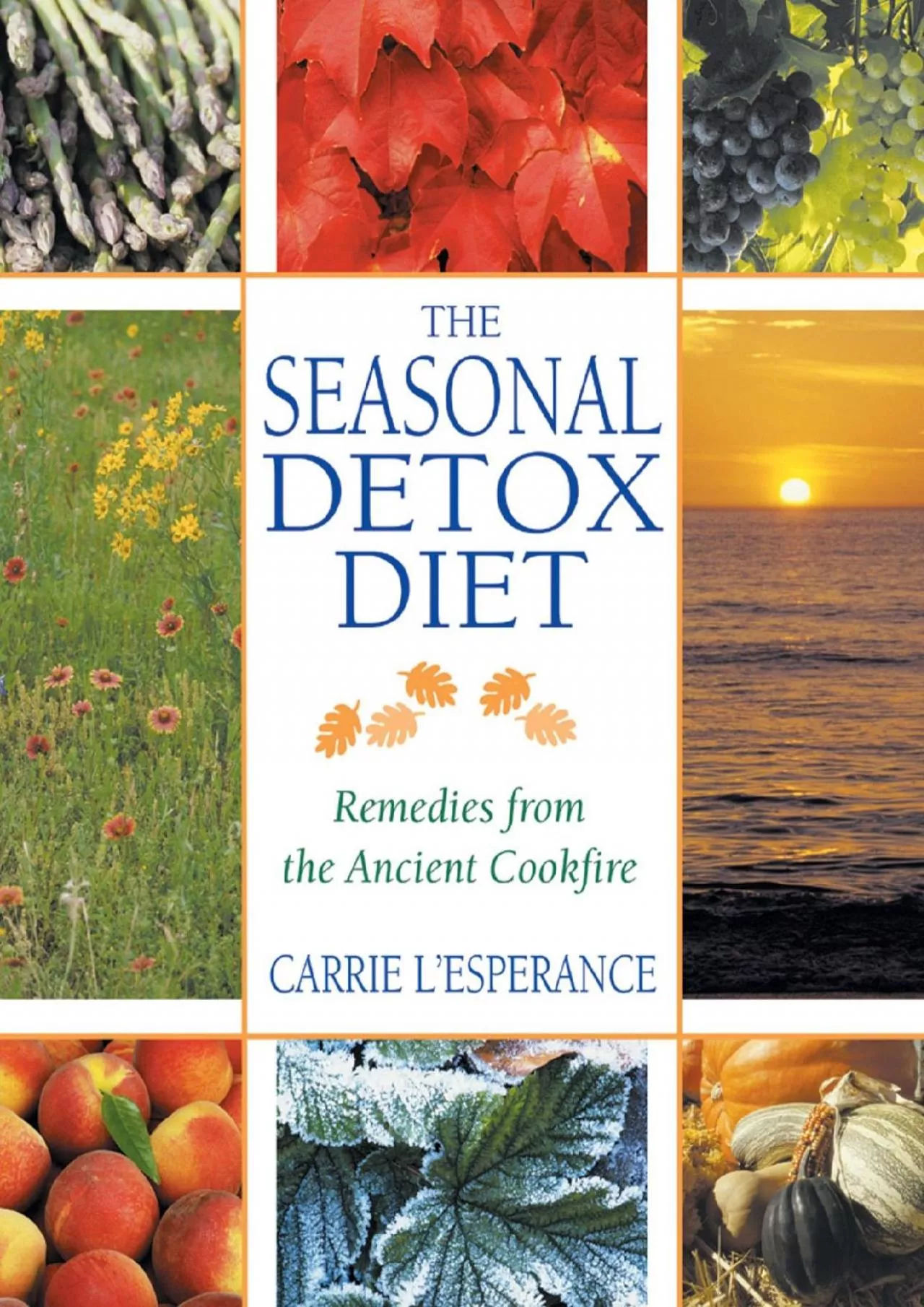 PDF-[READ] The Seasonal Detox Diet: Remedies from the Ancient Cookfire