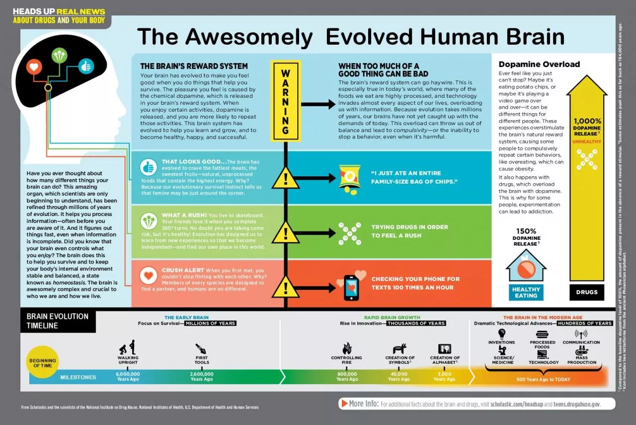 PDF-BRAIN EVOLUTION TIMELINE