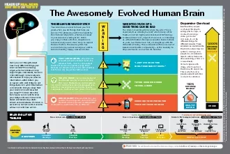 BRAIN EVOLUTION TIMELINE