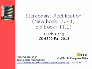 Stereopsis Rectification