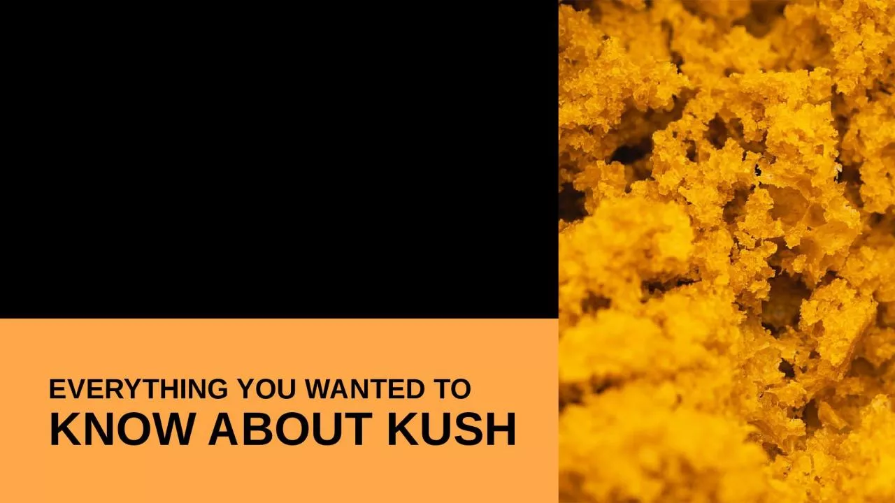 PPT-Everything You Wanted to Know About Kush