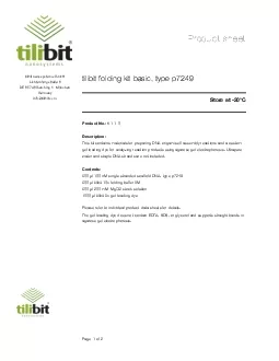 PDF-500 l 100 nM singlestranded scaffold DNA type p7249 500 l tilibit 10x