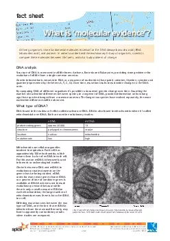 What is 145molecular evidence146