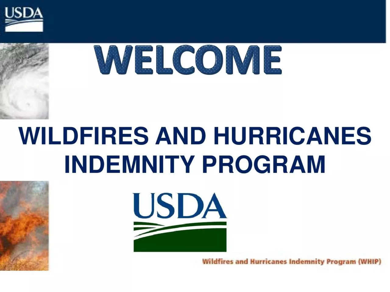 PDF-WILDFIRES AND HURRICANESINDEMNITY PROGRAM