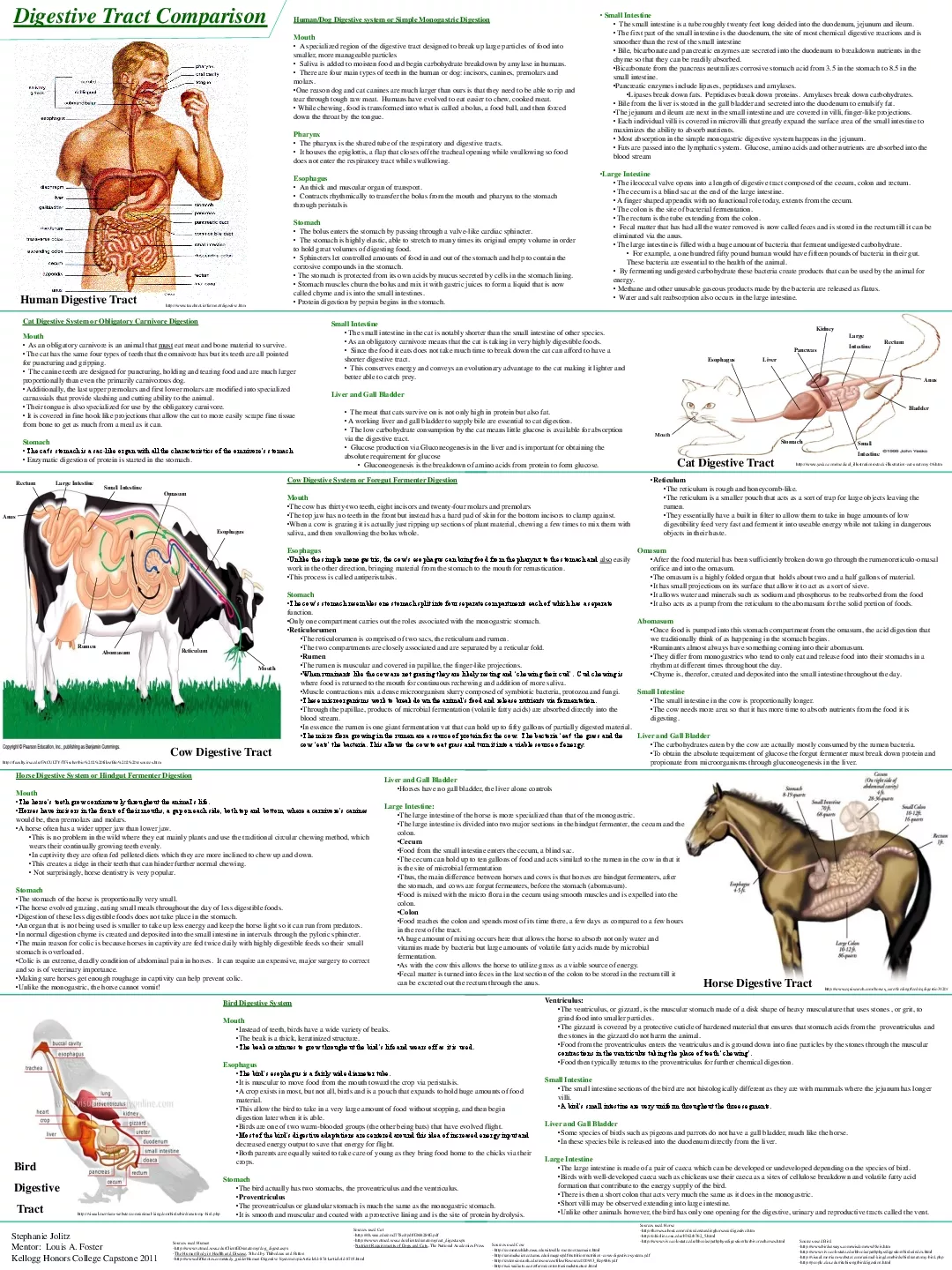 httpwwwyeskocommedicalillustrationsstock