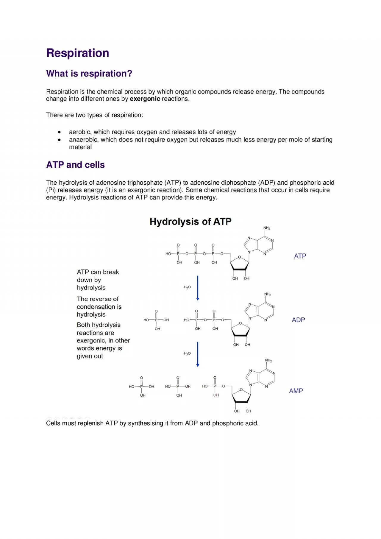 PDF-Respiration