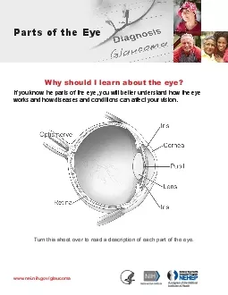 wwwneinihgovglaucoma