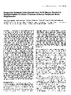 Syngeneic Schwann Cells Derived from Adult Nerves Seeded in Semipermea