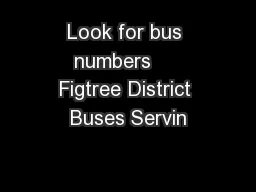 Look for bus numbers     Figtree District Buses Servin