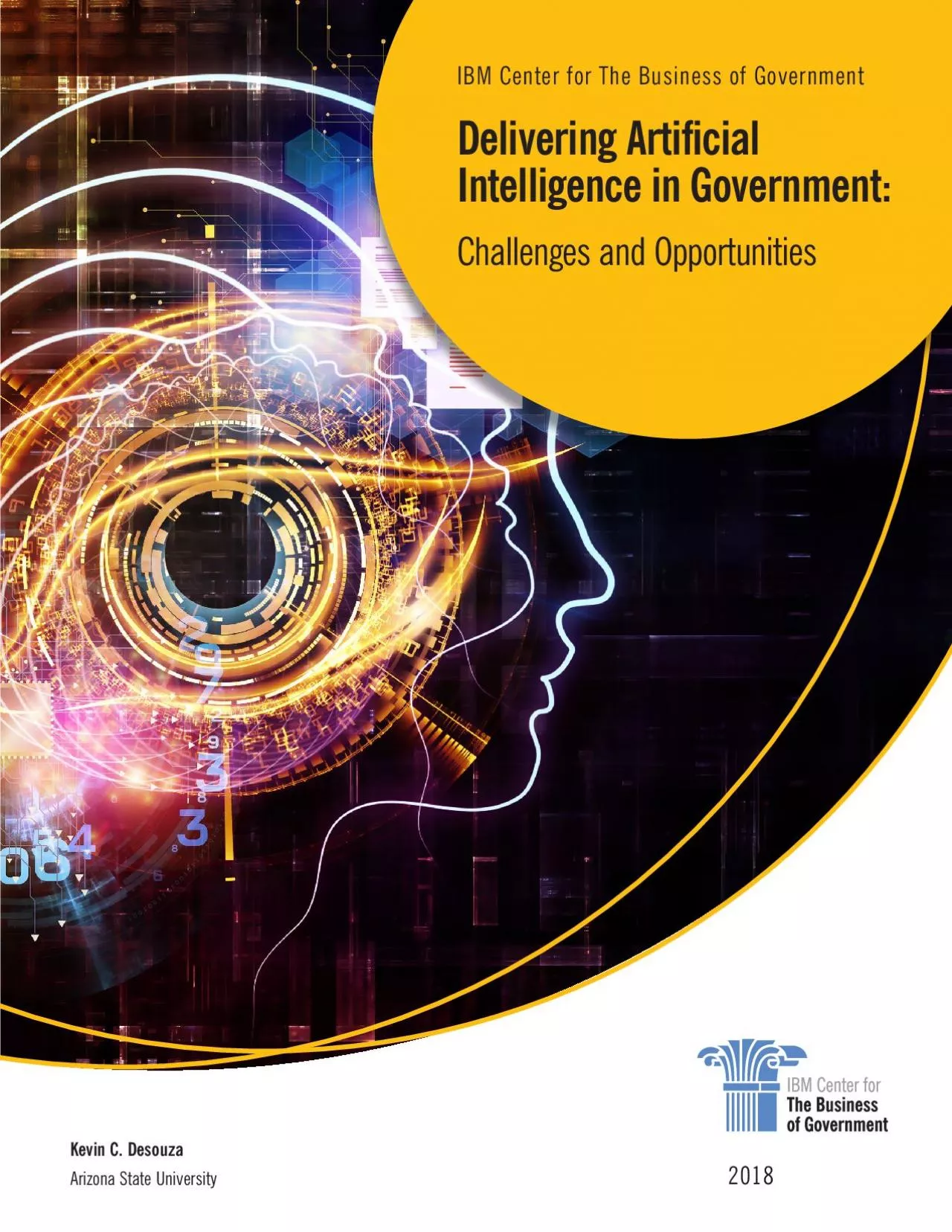 PDF-IBM Center for The Business of Government