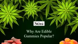 5 Reasons Why Edible Gummies Are a Better Option