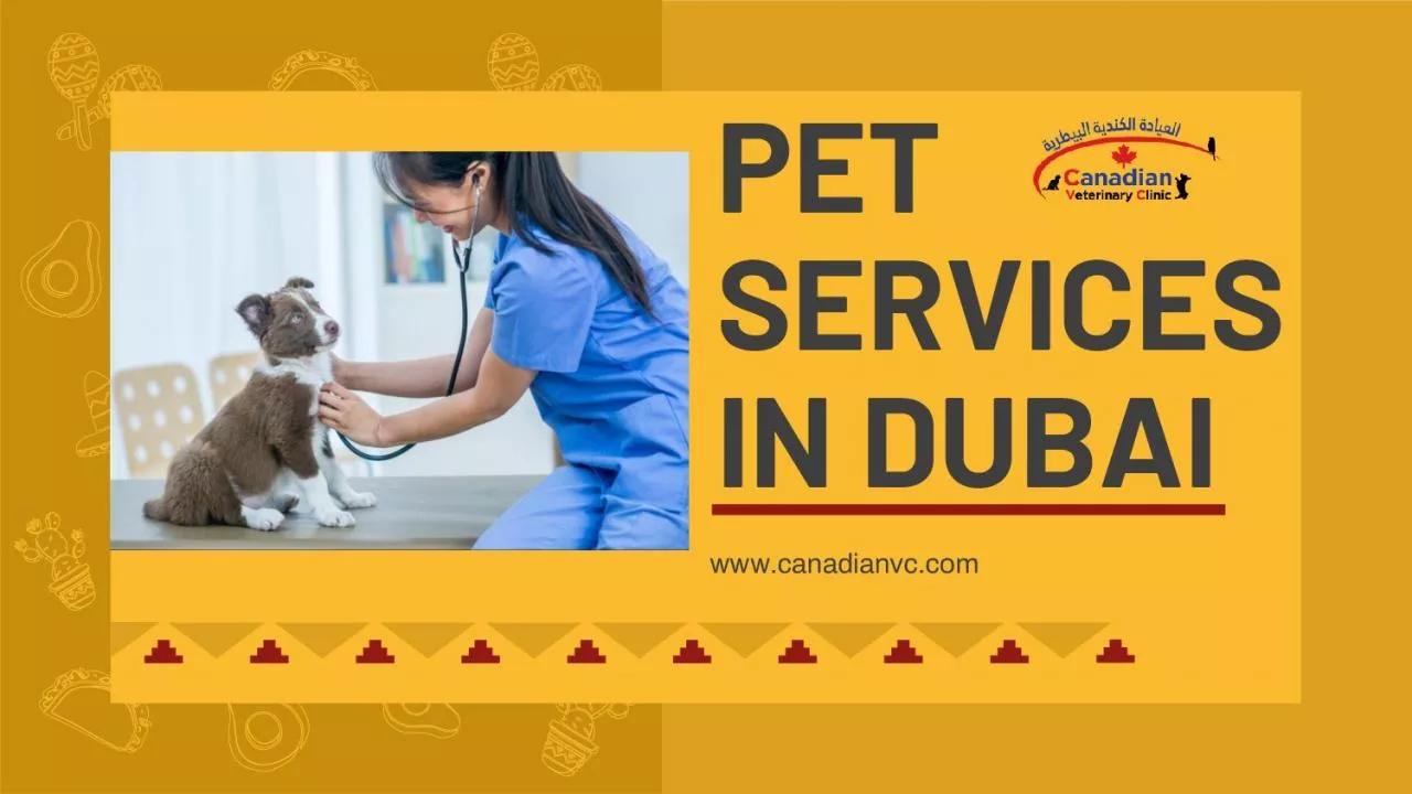 PDF-PET SERVICES IN DUBAI