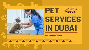 PET SERVICES IN DUBAI