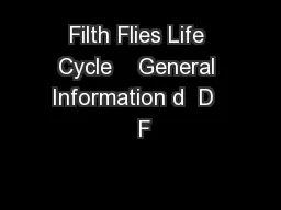 Filth Flies Life Cycle    General Information d  D   F