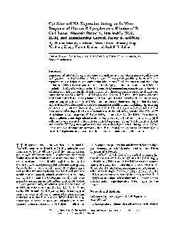 mRNA Expression during an In Vitro Response of Human B Lymphocytes Kin