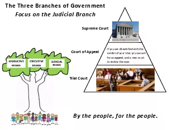 The Three Branches of Government