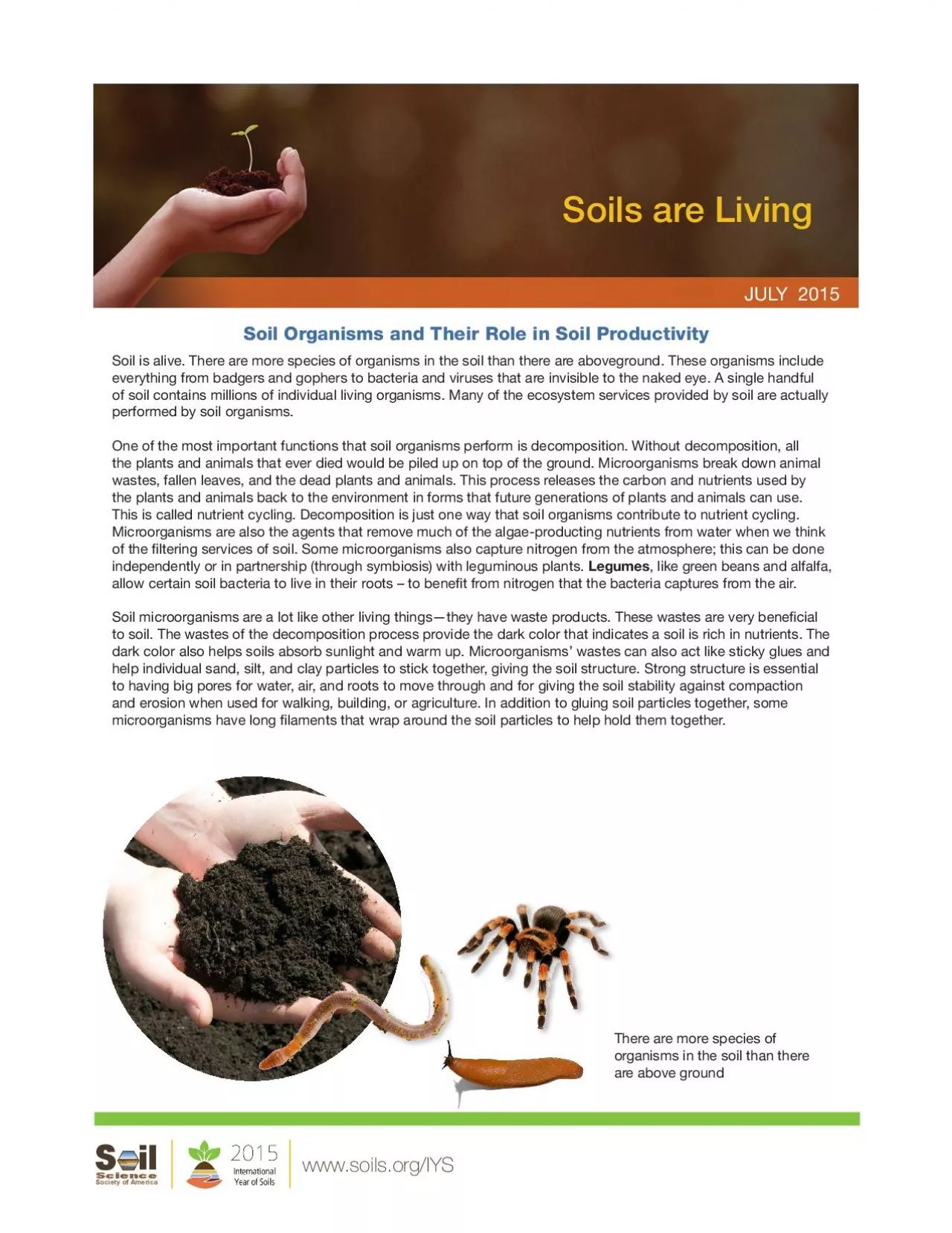 PDF-Soils are Living