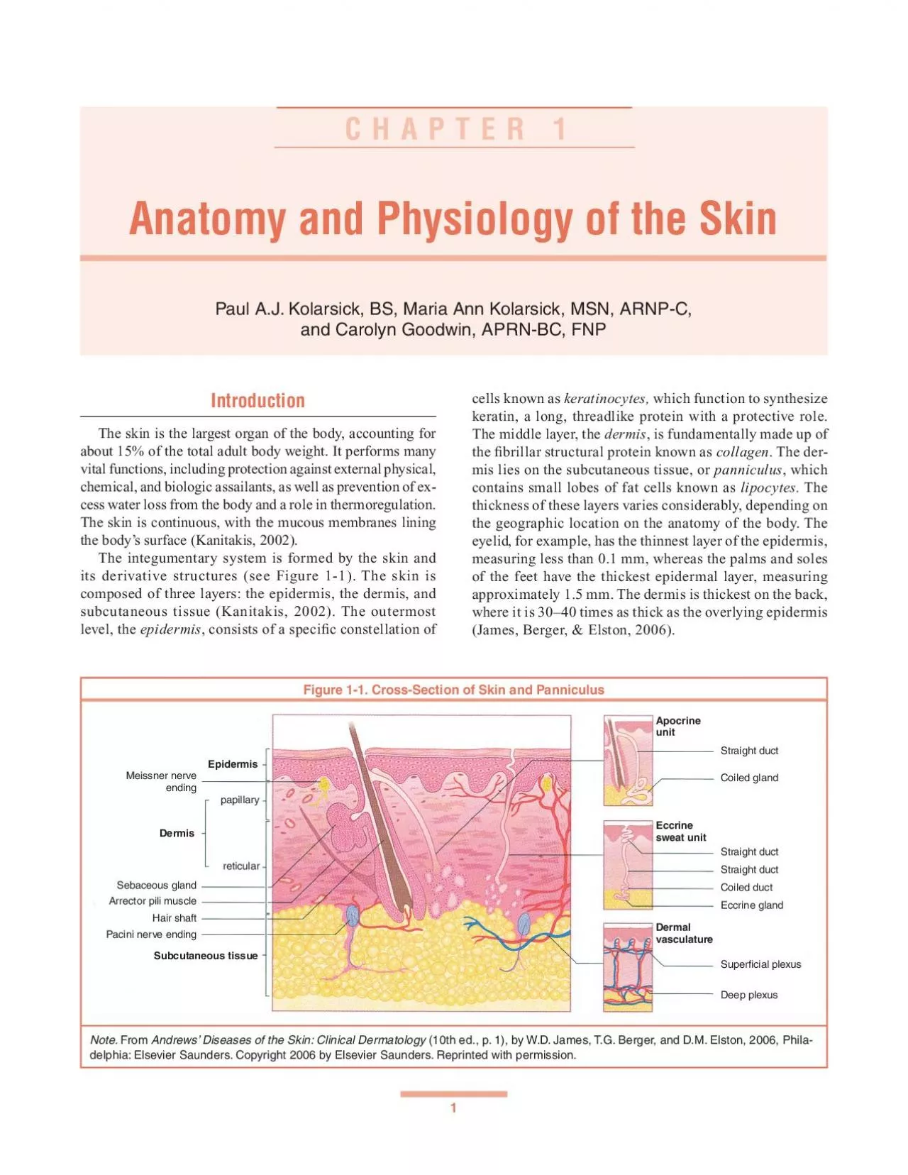 PDF-SKIN CANCER