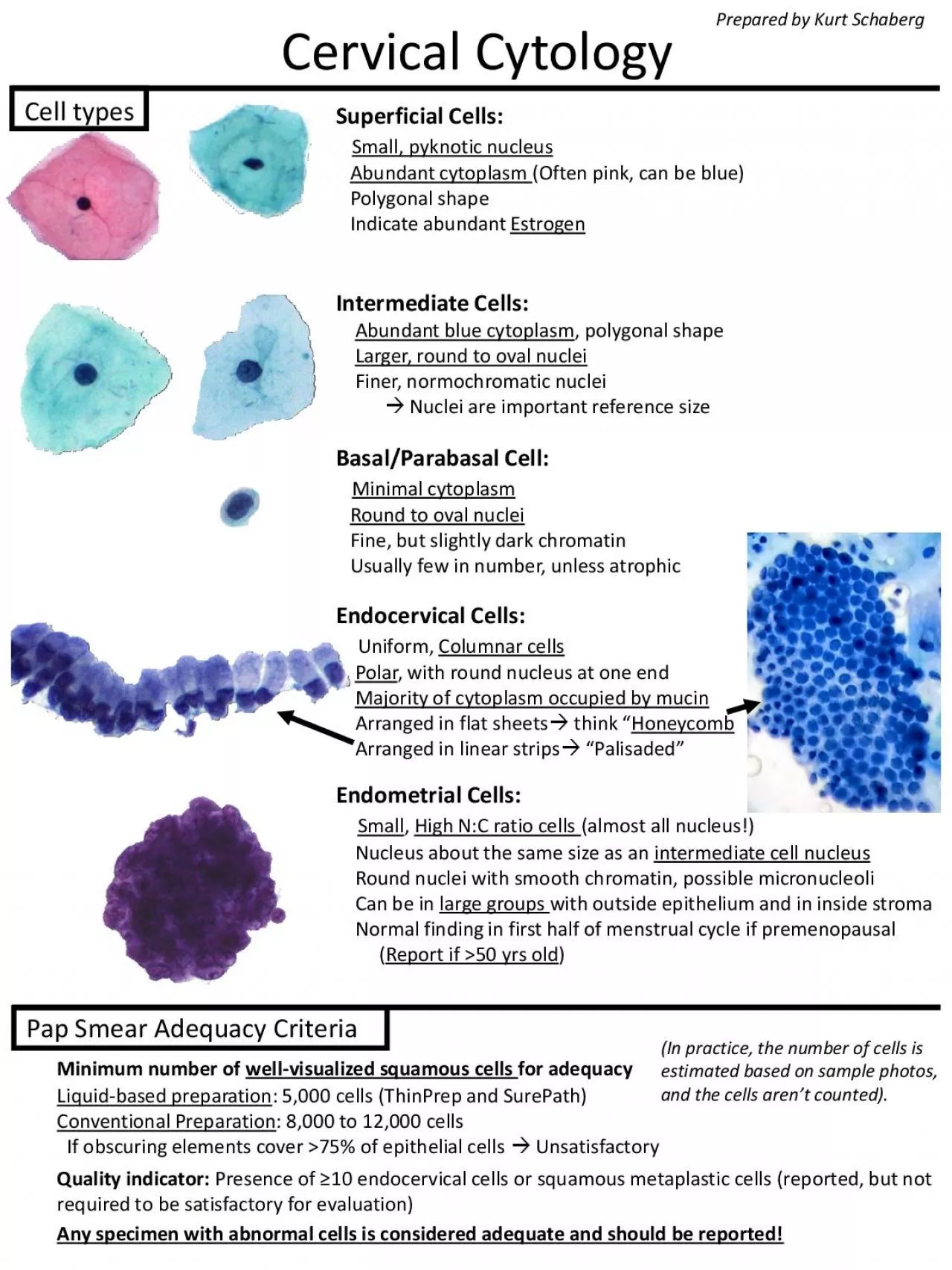 PDF-Cervical Cytology