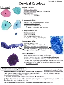 Cervical Cytology