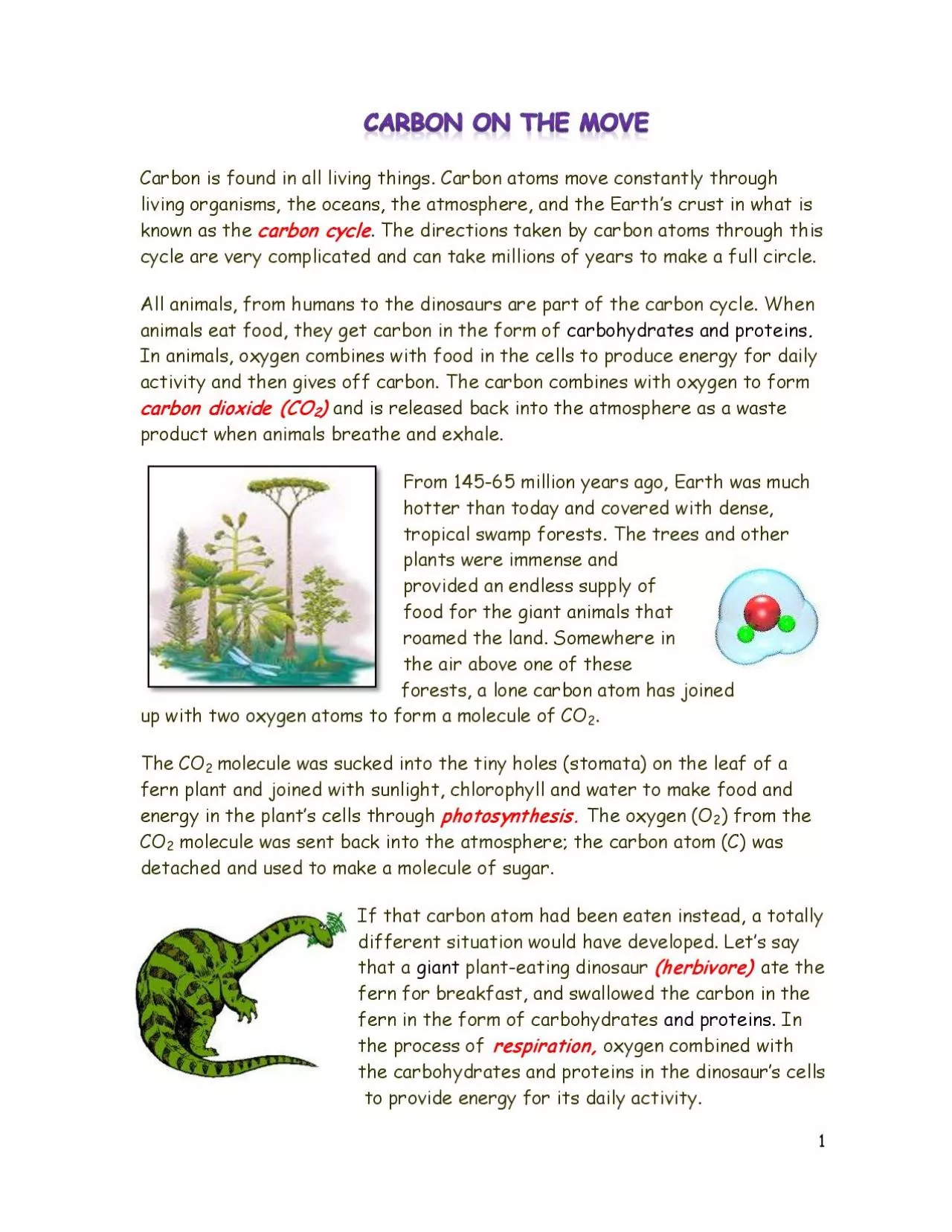 PDF-Carbon is found in all living things