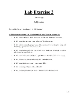 PDF-l Structure