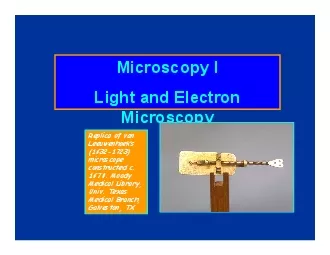 Microscopy ILight and Electron Microscopy