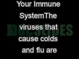 Strengthen Your Immune SystemThe viruses that cause colds and flu are