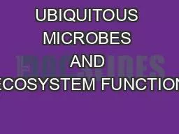 UBIQUITOUS MICROBES AND ECOSYSTEM FUNCTION