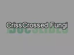 PDF-CrissCrossed Fungi