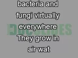 would see bacteria and fungi virtually everywhere They grow in air wat