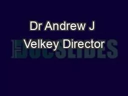 Dr Andrew J Velkey Director